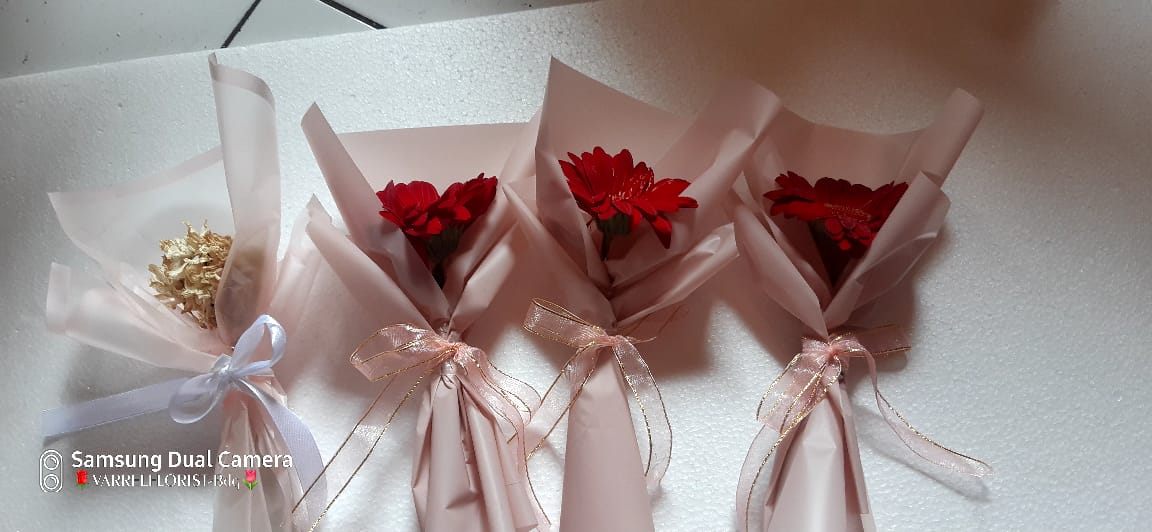 Bunga Poinsettia Merah