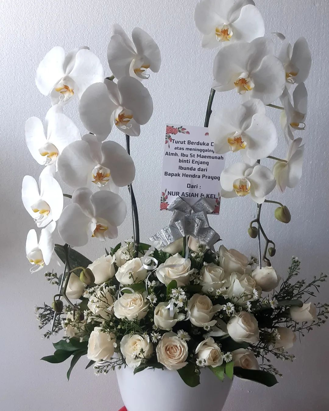 Bunga Meja Anggrek Putih