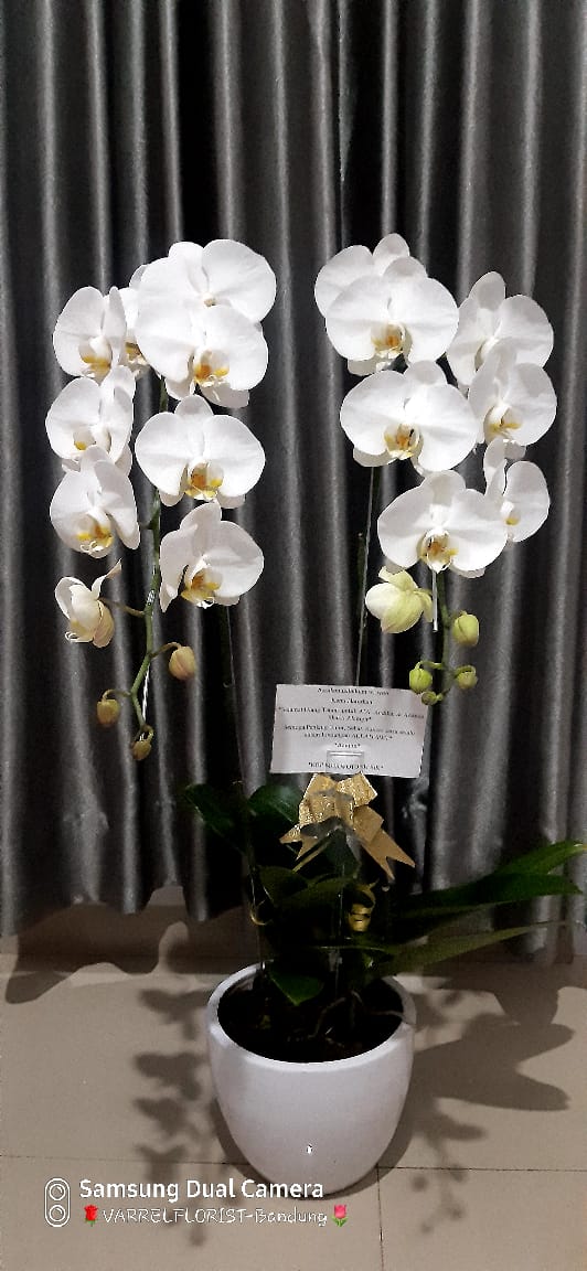 Bunga pajangan indah